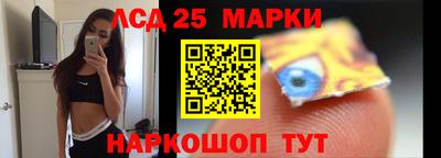 крисы Славгород