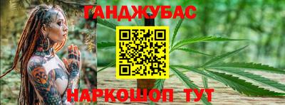 крисы Славгород