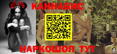 крисы Славгород