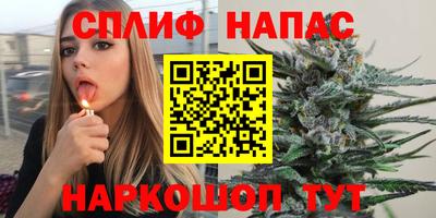 крисы Славгород