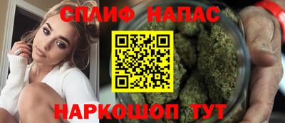 крисы Славгород