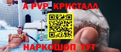 крисы Славгород