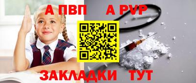 крисы Славгород